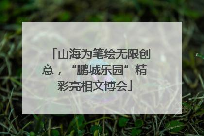 山海为笔绘无限创意，“鹏城乐园”精彩亮相文博会